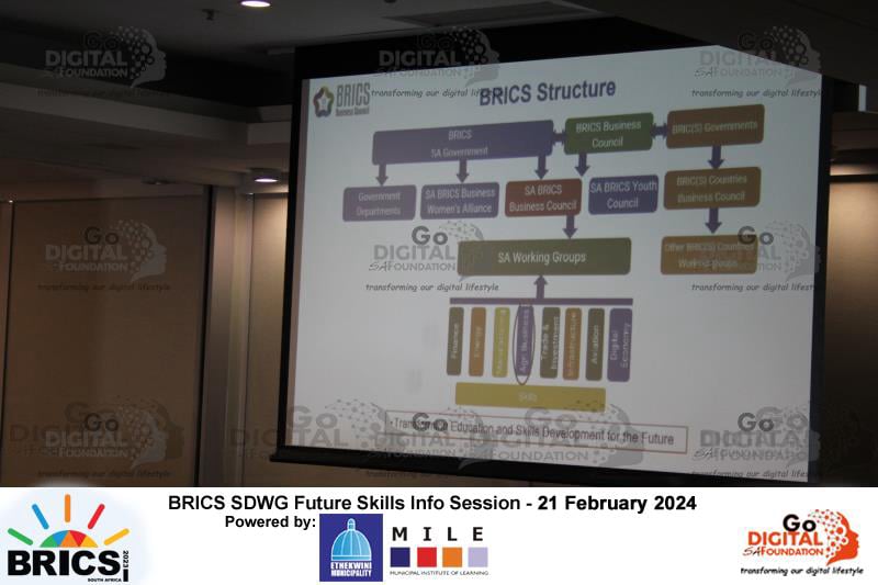 BRICS SDWG Info Session